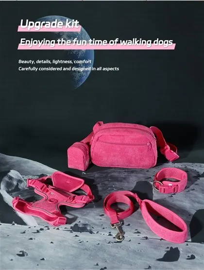 Set de zgardă și lesă pentru câini de designer